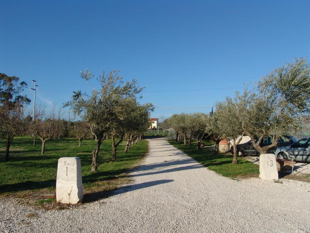 Podere 1248 Ladispoli Dış mekan fotoğraf