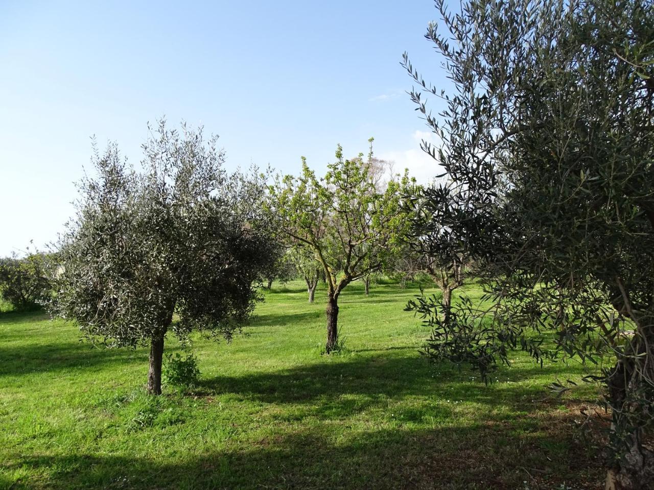 Podere 1248 Ladispoli Dış mekan fotoğraf